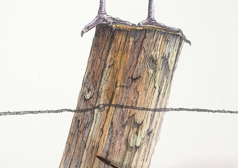 Finishing the watercolor washes on the wooden post