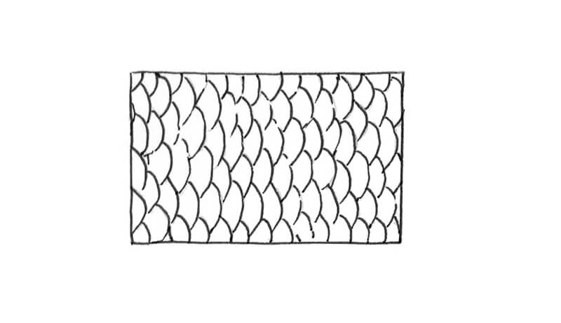 Sketch of fish scales