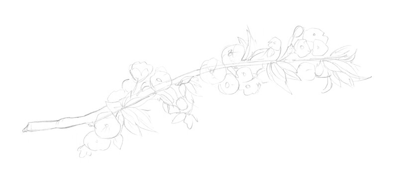 Quick sketch of the flowers