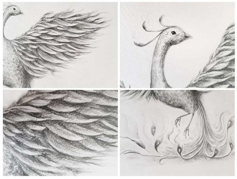 Close ups of a drawing with water-soluble graphite