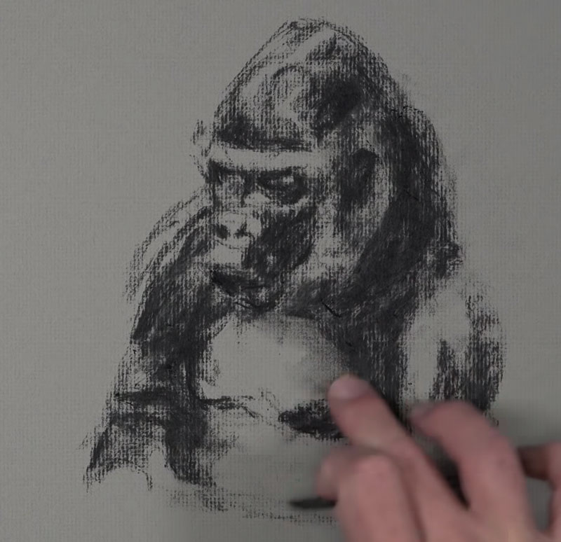 Gorilla Sketch - step 2 - Blocking in darker values