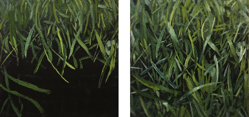 Painting exercise 3 - Painting grass - completed painting