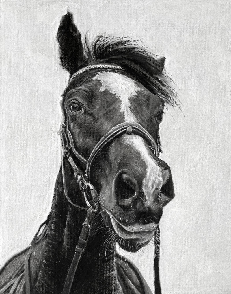 Charcoal Drawing of a Horse
