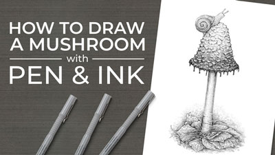How to Draw a Mushroom with Pen and Ink
