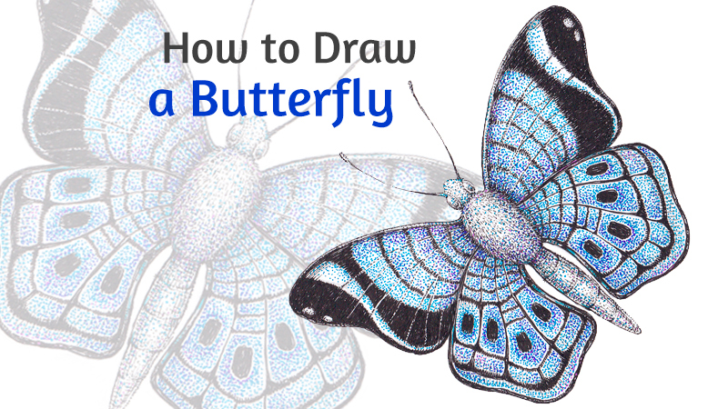 How to draw a butterfly with pen and ink