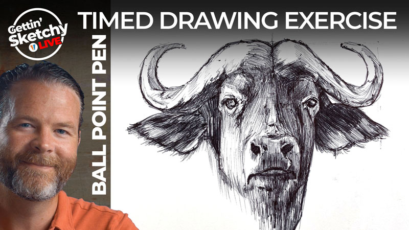 Ball Point Pen Drawing of a Cape Buffalo