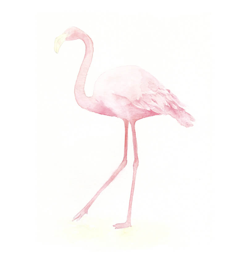 Painting the flamingo with watercolor