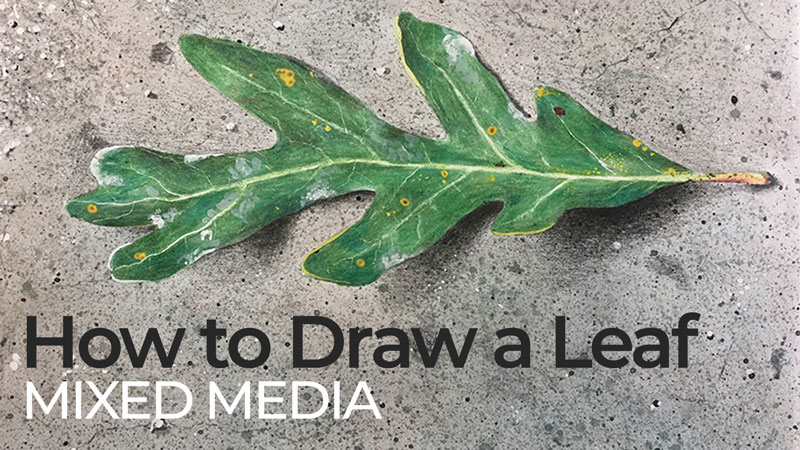 How to draw a leaf step by step - mixed media