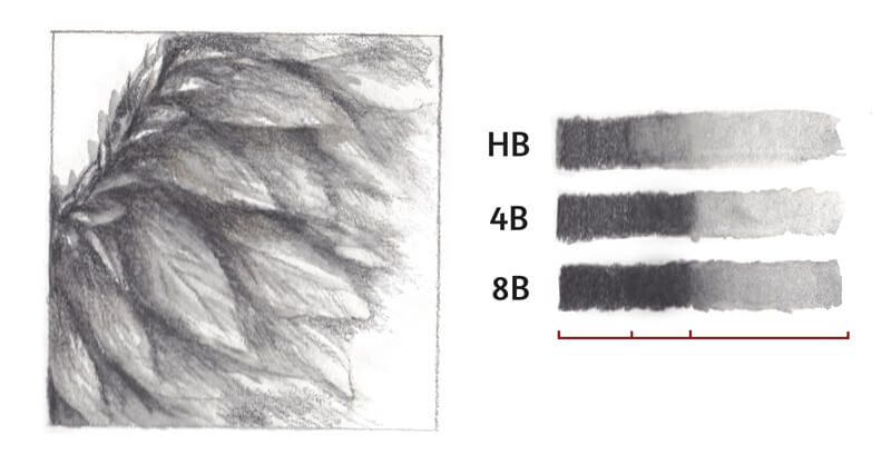 Water-soluble graphite samples