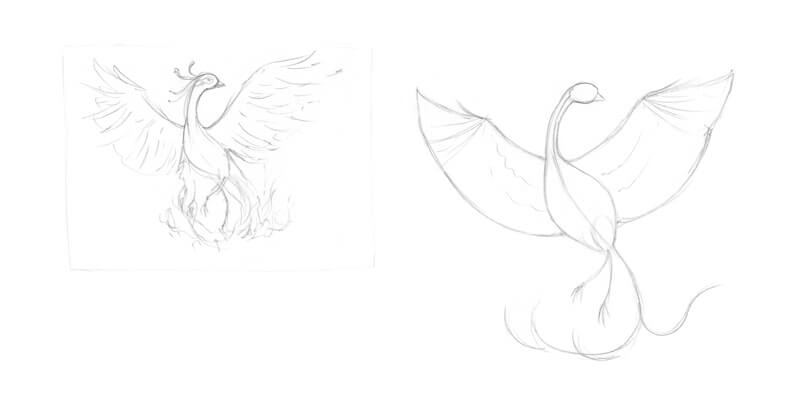 Sketches of a phoenix