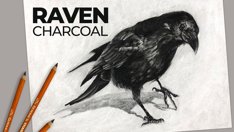 Drawing a Raven with Charcoal on Gray Paper