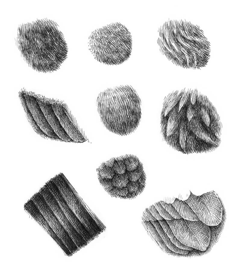 Drawing feather textures with ink