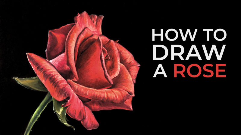 How to Draw a Rose with Pastels