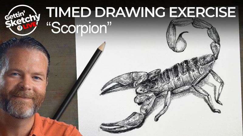How to Draw a Scorpion with Pencil