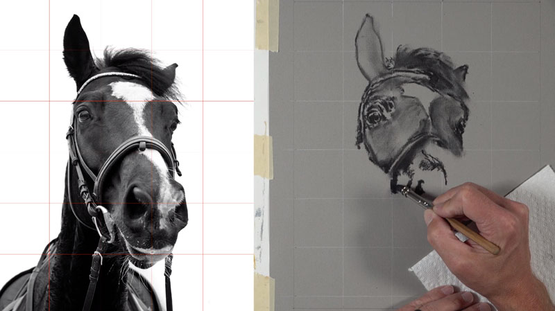 Drawing the values and contours of the horse