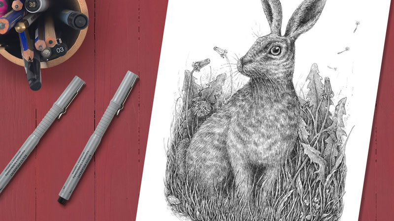 How to Draw a Rabbit with Pen and Ink