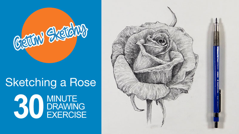 Timed Sketching Exercise - Rose