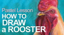 How to Draw a Rooster with Pastels