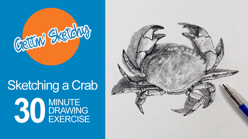Timed Drawing Exercise - Crab