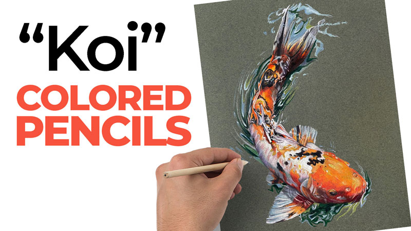 How to Draw a Koi Fish with Colored Pencils