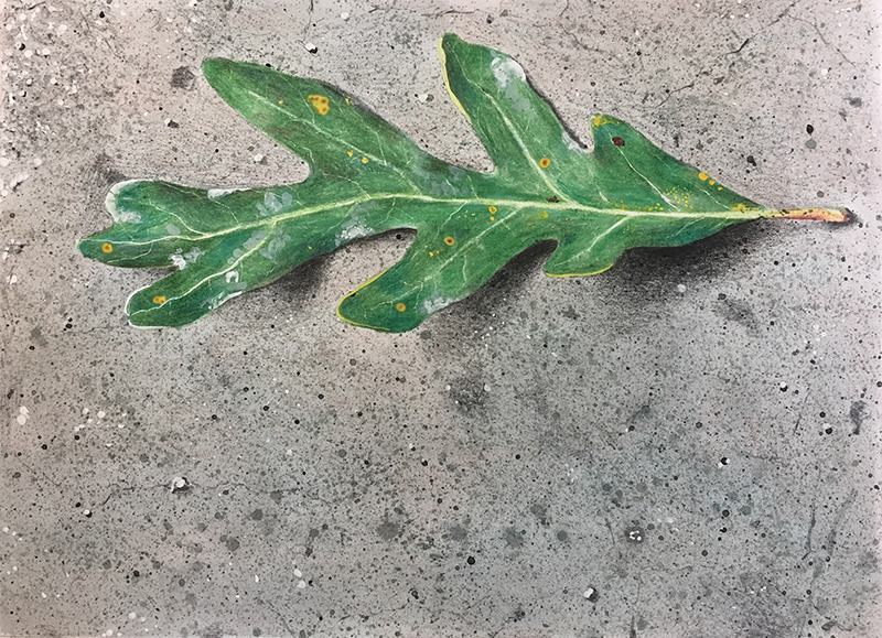 Mixed media drawing of a leaf