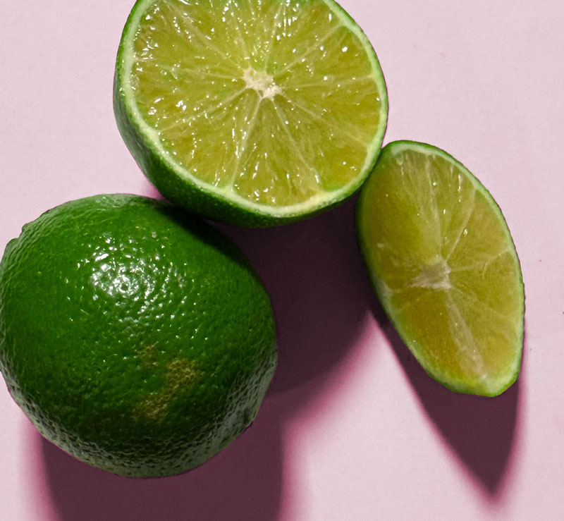Photo reference for acrylic painting of limes
