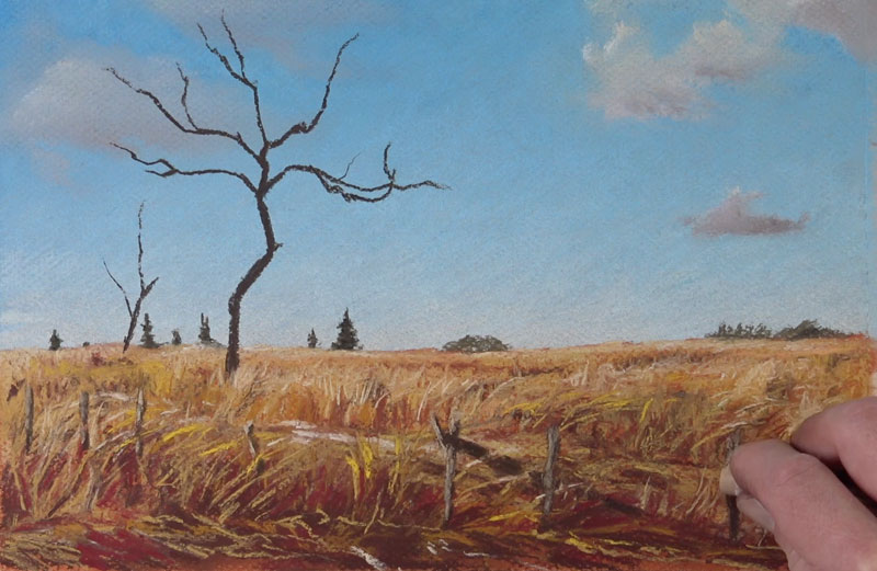 Drawing grass with pastels in the foreground