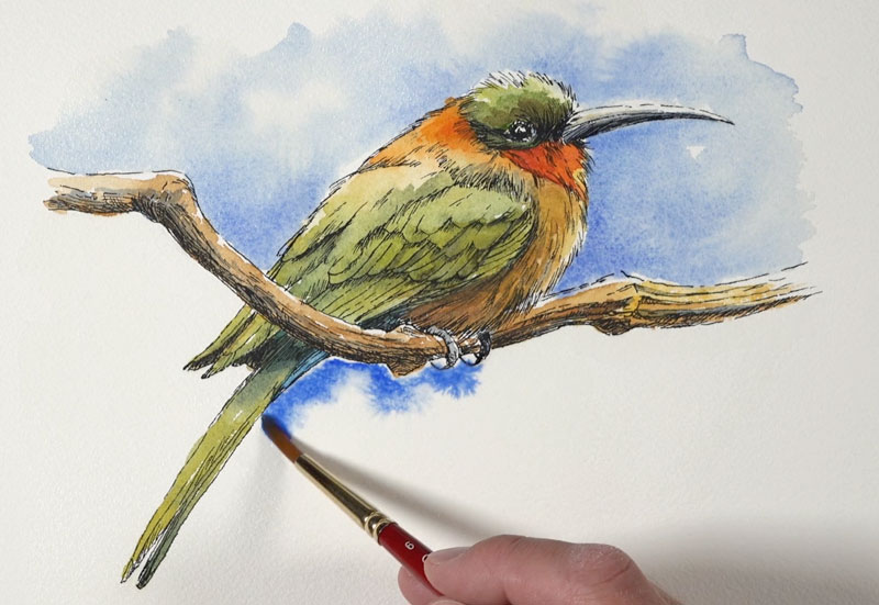 Painting the sky around the bird with watercolor