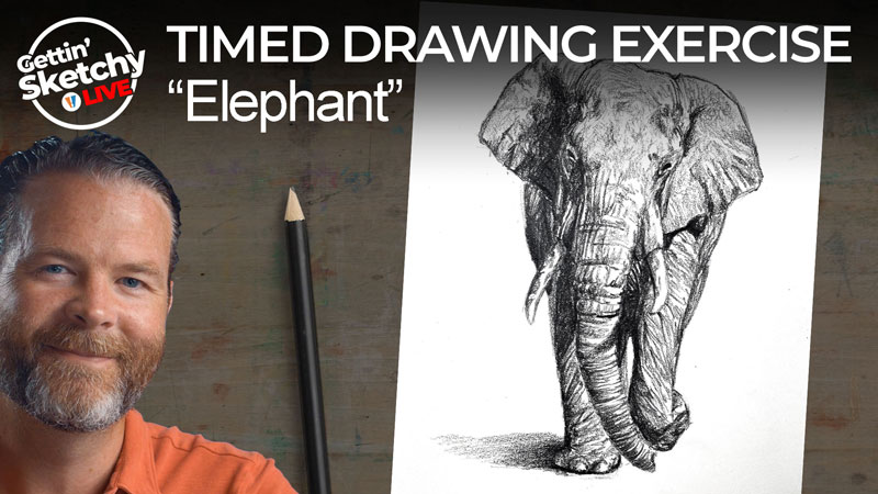 Pencil drawing of an elephant lesson