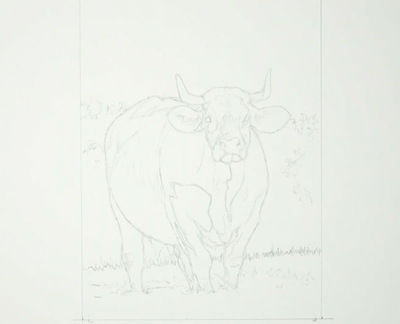 Pencil sketch of a cow in a field
