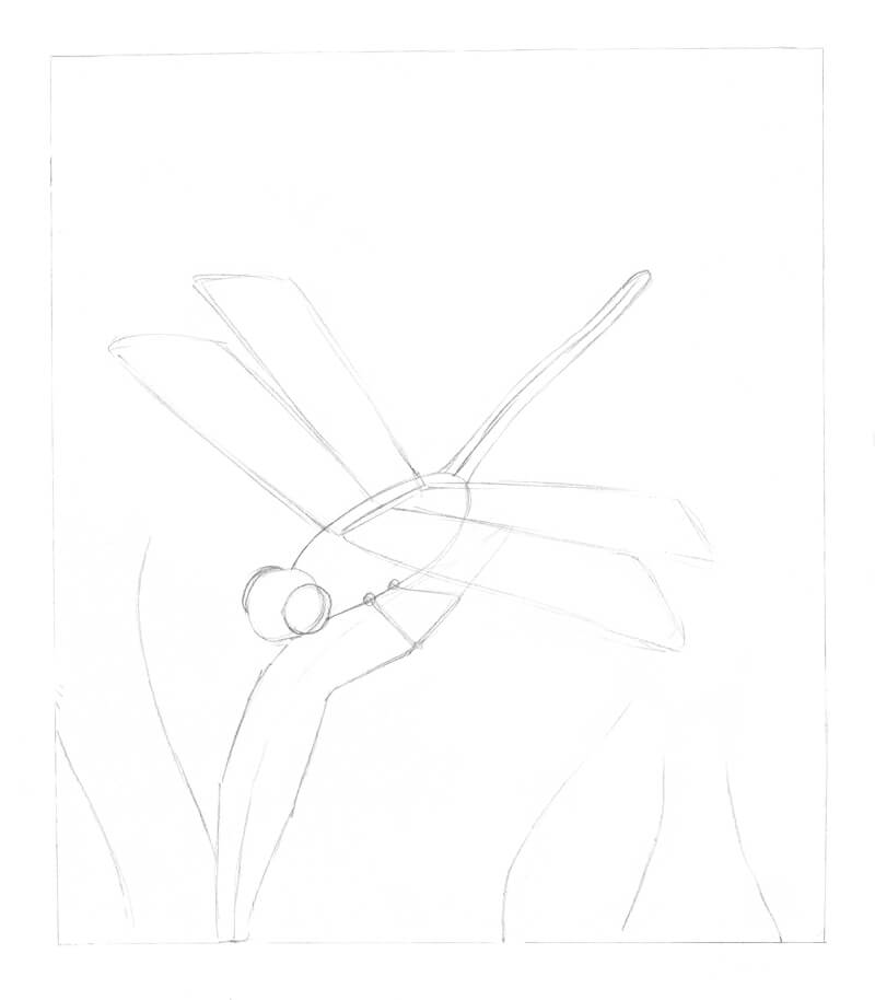 Pencil sketch of a dragonfly before adding ink