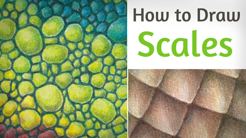 How to Draw Animal Scales