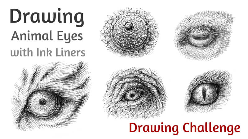Drawing Animal Eyes with Pen and Ink