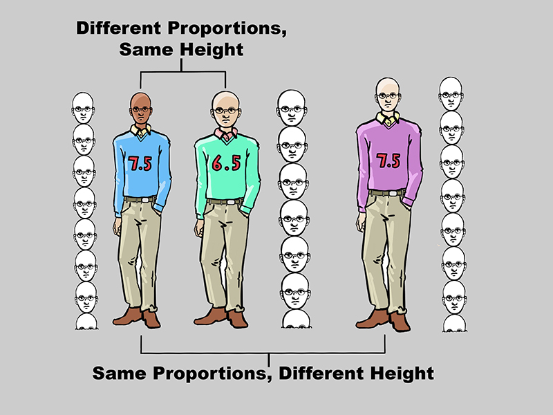 Human Standing Proportions