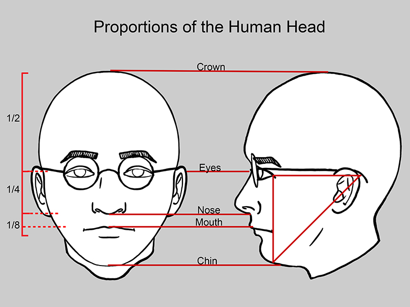 Human Facial Proportions