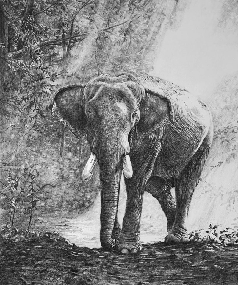 realistic pencil drawing of an elephant