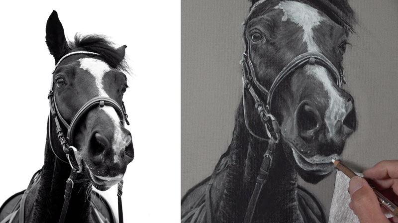 Refining details on the snout of the horse
