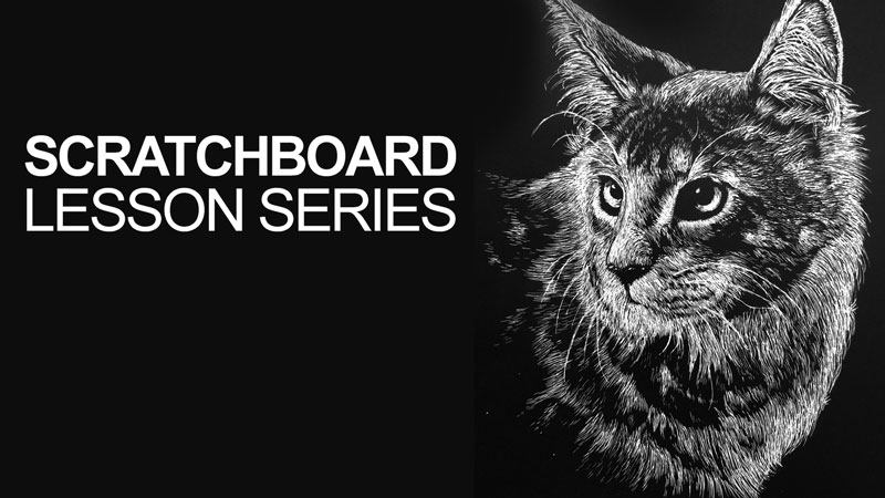 Scratchboard drawing of a cat