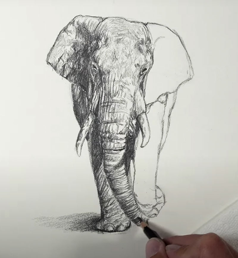 Shading-drawing-elephant