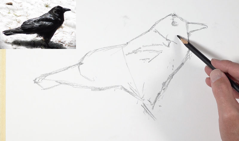 Drawing the shapes for the crow on stipple paper