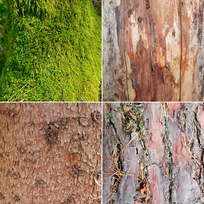 Examples of various natural textures