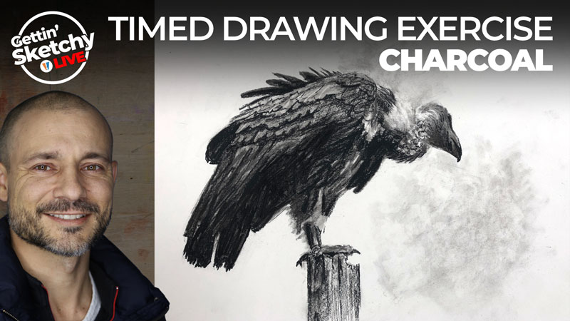 How to Draw a Vulture with Charcoal