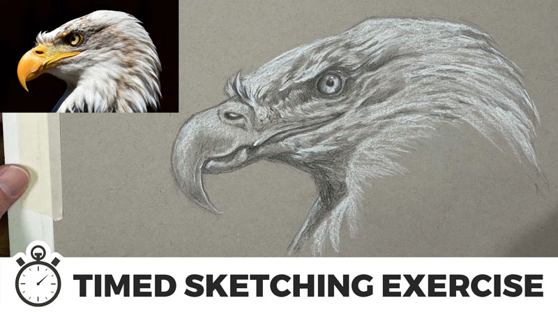 Timed Sketching Exercise - Eagle