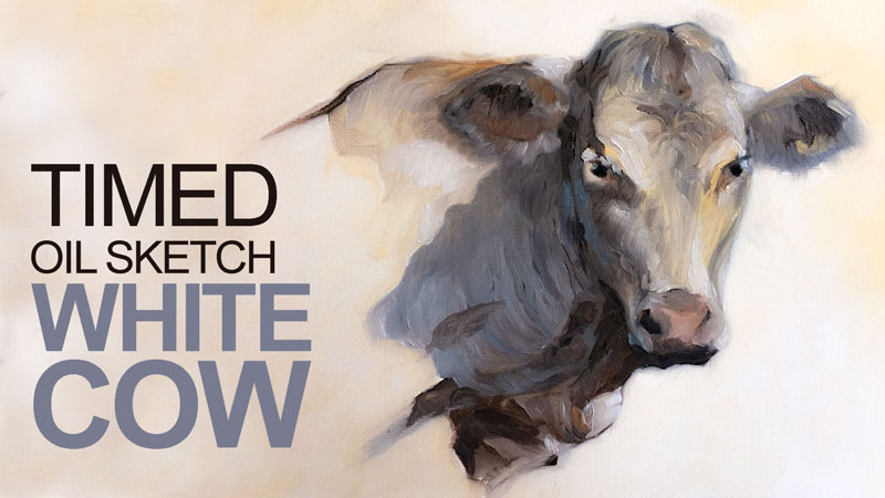 Oil Sketch of a Cow