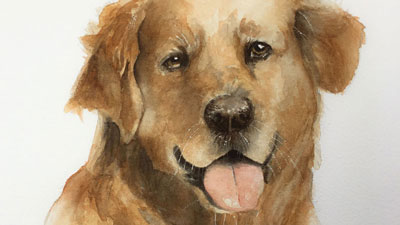 How to Paint a Dog with Watercolor